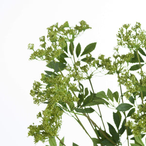 Faux Cow Parsley Ammi - Canwell Interiors Limited - Hills