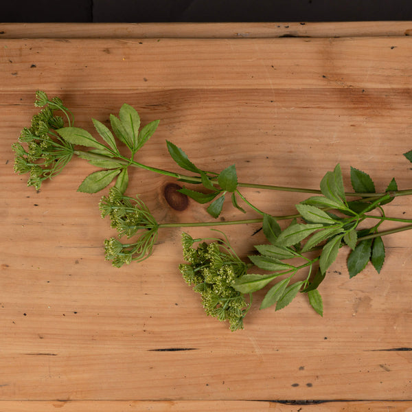 Faux Cow Parsley Ammi - Canwell Interiors Limited - Hills