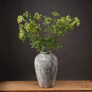 Faux Cow Parsley Ammi - Canwell Interiors Limited - Hills