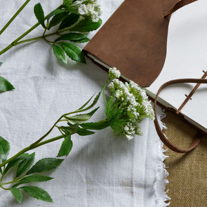 Faux White Cow Parsley Ammi - Canwell Interiors Limited - Hills