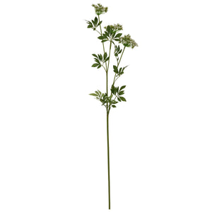 Faux White Cow Parsley Ammi - Canwell Interiors Limited - Hills