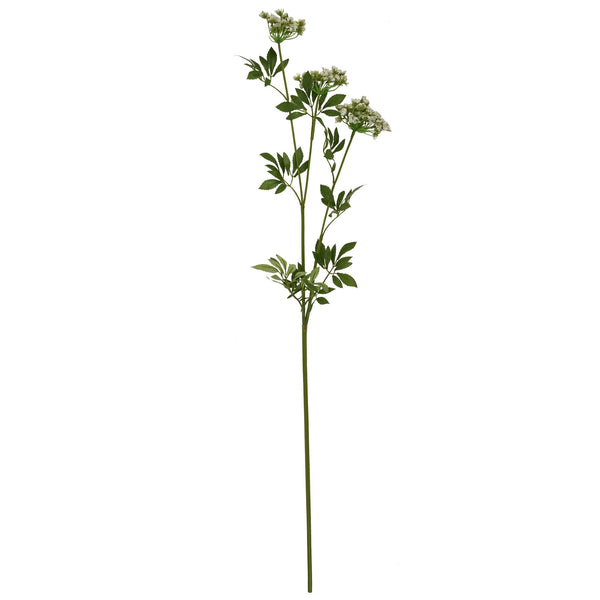 Faux White Cow Parsley Ammi - Canwell Interiors Limited - Hills
