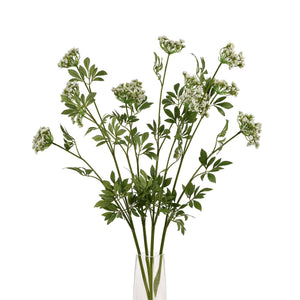 Faux White Cow Parsley Ammi - Canwell Interiors Limited - Hills