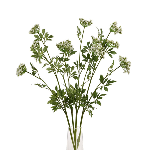 Faux White Cow Parsley Ammi - Canwell Interiors Limited - Hills
