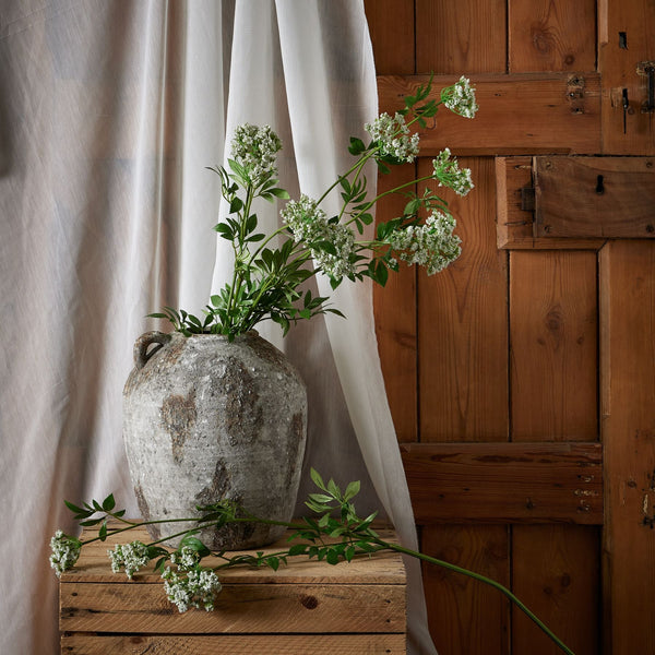 Faux White Cow Parsley Ammi - Canwell Interiors Limited - Hills