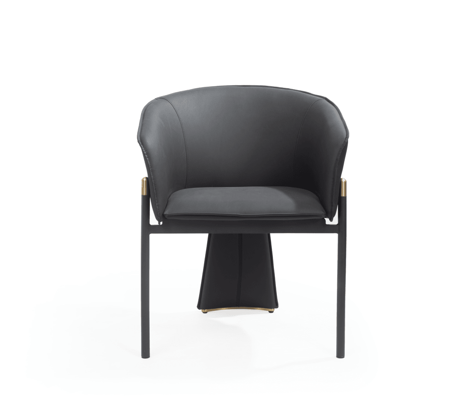 Felipo Dining Chair - Set of 2 - Mustang Black - XShowhome Limited - Tommy Franks