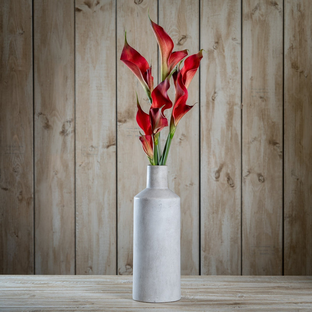 Fireball Calla Lily - Canwell Interiors Limited - Hills