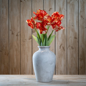 Flame Orange Parrot Tulip - Canwell Interiors Limited - Hills
