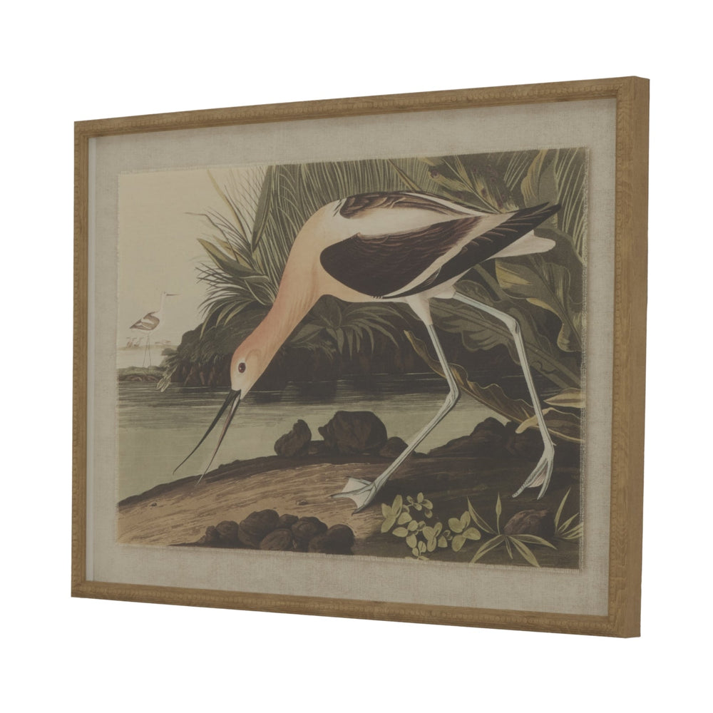Flora & Fauna Collection Avocet on Linen in Beaded Frame - Canwell Interiors Limited - Hills