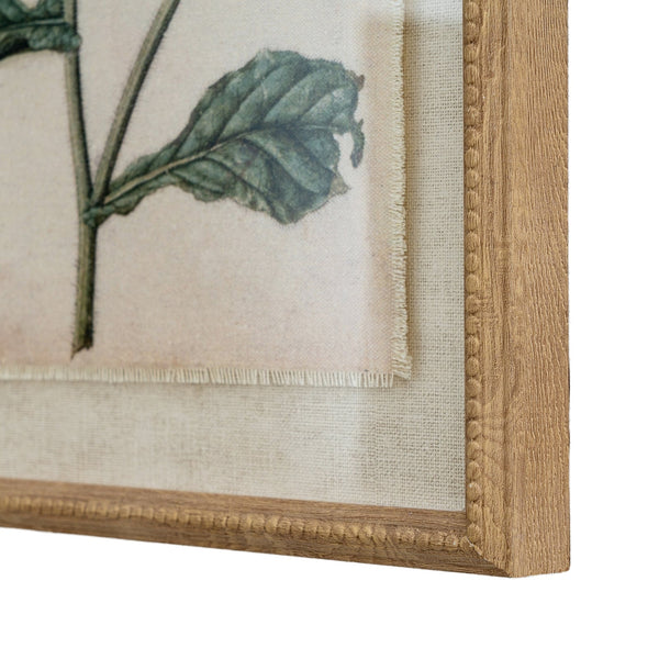 Flora & Fauna Collection Borage on Linen in Beaded Frame - Canwell Interiors Limited - Hills