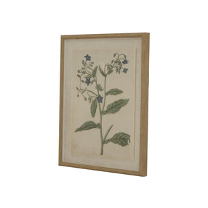 Flora & Fauna Collection Borage on Linen in Beaded Frame - Canwell Interiors Limited - Hills