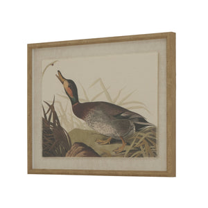 Flora & Fauna Collection Duck on Linen in Beaded Frame - Canwell Interiors Limited - Hills