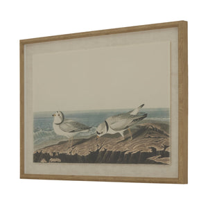 Flora & Fauna Collection Plovers on Linen in Beaded Frame - Canwell Interiors Limited - Hills