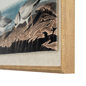 Flora & Fauna Collection Plovers on Linen in Beaded Frame - Canwell Interiors Limited - Hills