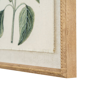 Flora & Fauna Collection Salvia on Linen in Beaded Frame - Canwell Interiors Limited - Hills