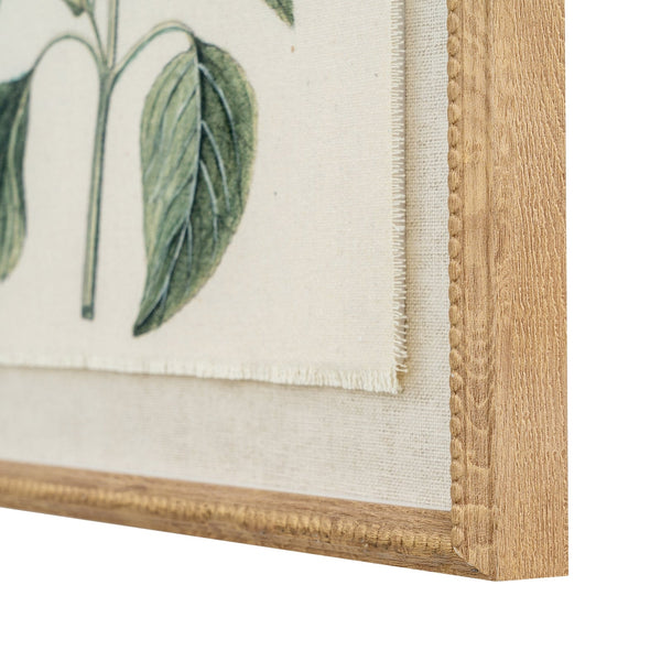 Flora & Fauna Collection Salvia on Linen in Beaded Frame - Canwell Interiors Limited - Hills