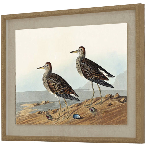 Flora & Fauna Collection Sandpipers on Linen in Beaded Frame - Canwell Interiors Limited - Hills