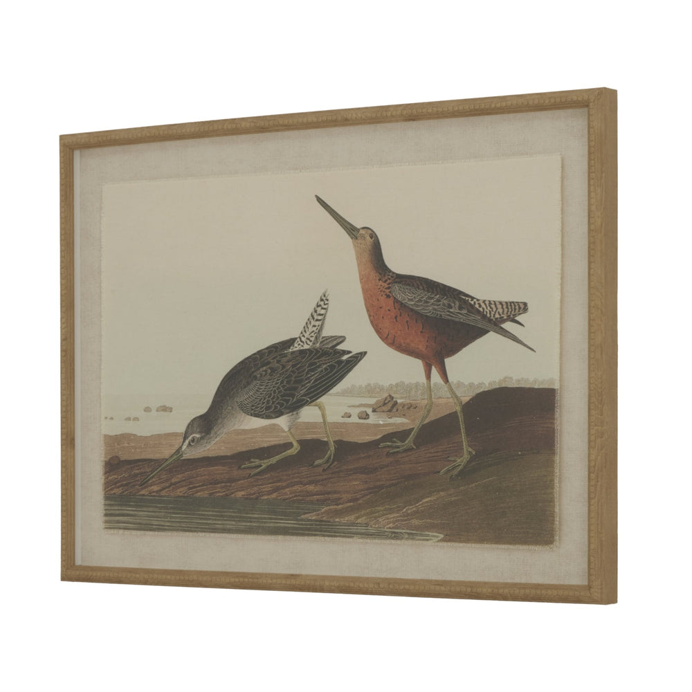 Flora & Fauna Collection Snipes on Linen in Beaded Frame - Canwell Interiors Limited - Hills