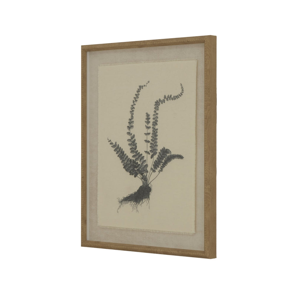 Flora & Fauna Collection Spleenwort on Linen in Beaded Frame - Canwell Interiors Limited - Hills