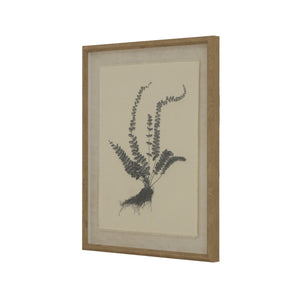 Flora & Fauna Collection Spleenwort on Linen in Beaded Frame - Canwell Interiors Limited - Hills