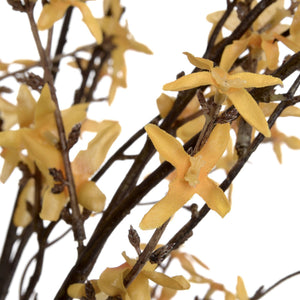 Forsythia - Canwell Interiors Limited - Hills