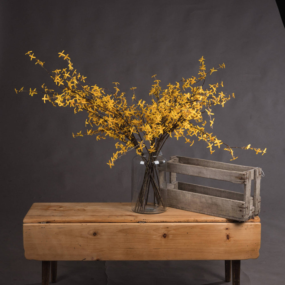 Forsythia - Canwell Interiors Limited - Hills