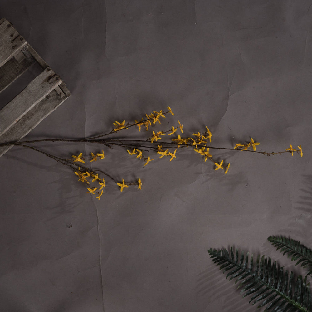 Forsythia - Canwell Interiors Limited - Hills