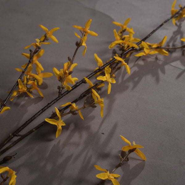 Forsythia - Canwell Interiors Limited - Hills