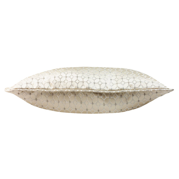 Frame 43x43 Feather Filled Cushion Feather - Canwell Interiors Limited - Riva
