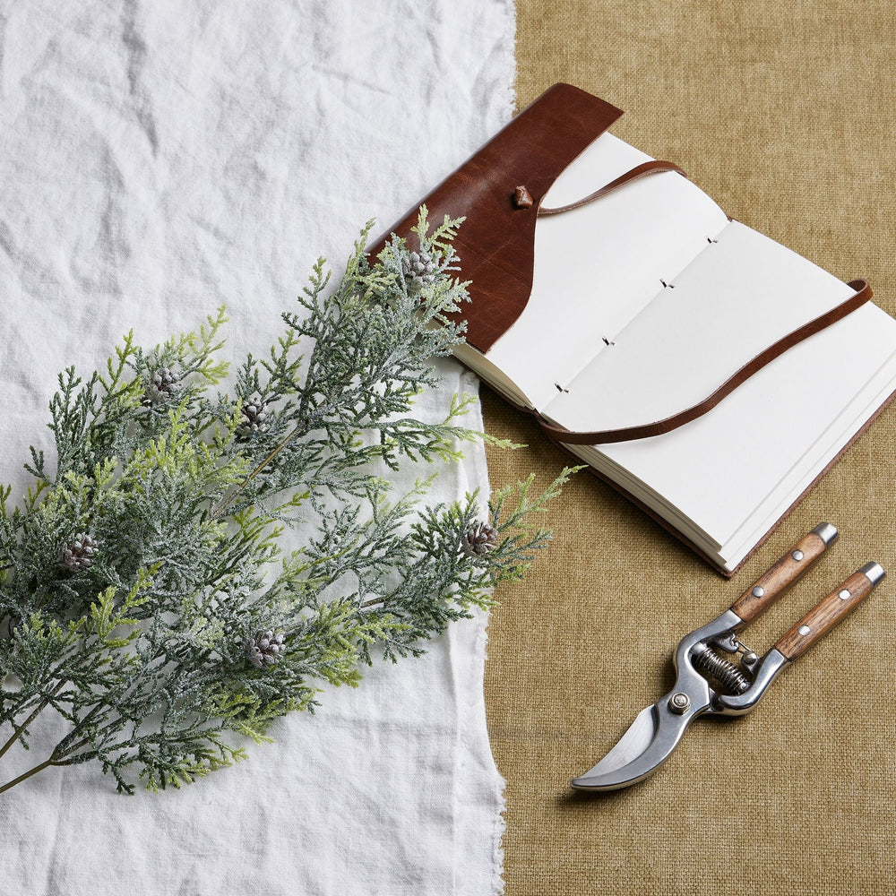 Frosted Pine Tall Stem With Pinecones - Canwell Interiors Limited - Hills