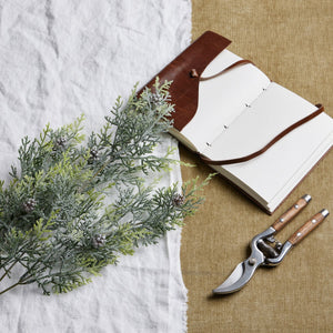 Frosted Pine Tall Stem With Pinecones - Canwell Interiors Limited - Hills