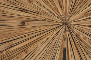 Gabo Small Round Ebony Coffee Table - Canwell Interiors Limited - Xshowhome