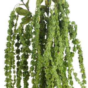 Green Amaranthus - Canwell Interiors Limited - Hills