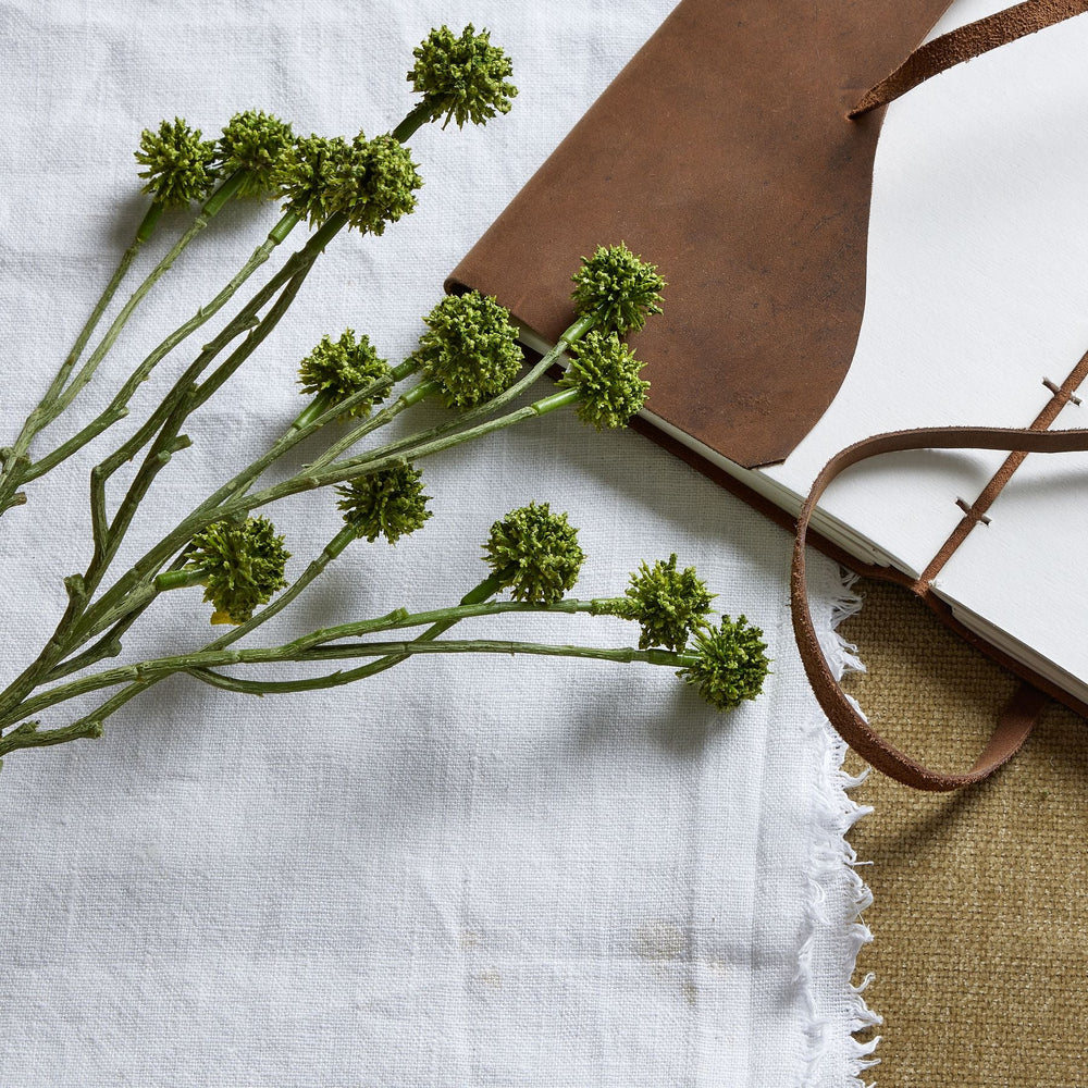 Green Craspedia Stem - Canwell Interiors Limited - Hills