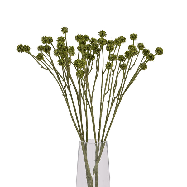 Green Craspedia Stem - Canwell Interiors Limited - Hills