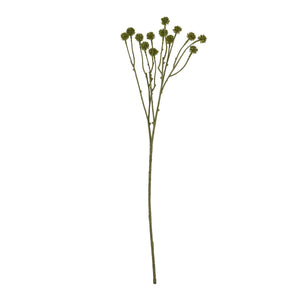 Green Craspedia Stem - Canwell Interiors Limited - Hills