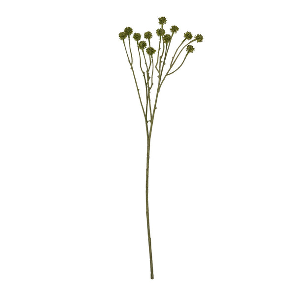 Green Craspedia Stem - Canwell Interiors Limited - Hills