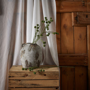 Green Craspedia Stem - Canwell Interiors Limited - Hills