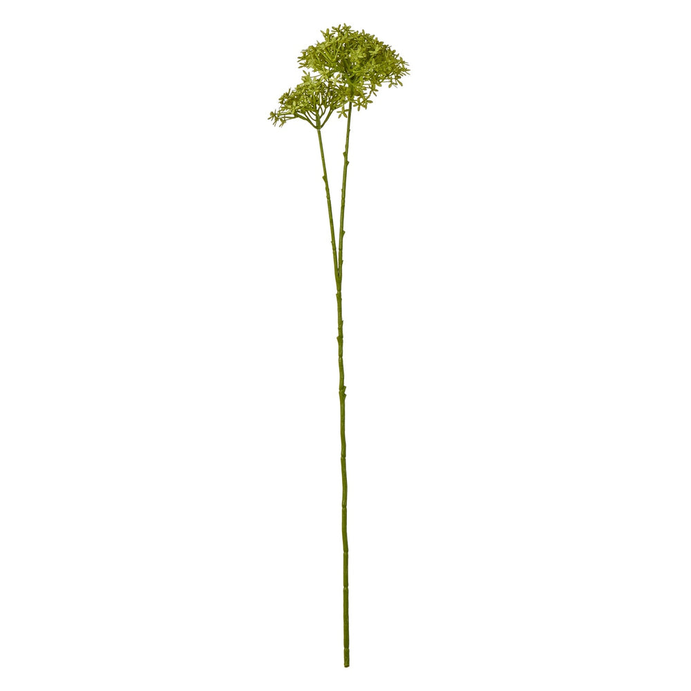 Green Crown Hydrangea Stem - Canwell Interiors Limited - Hills