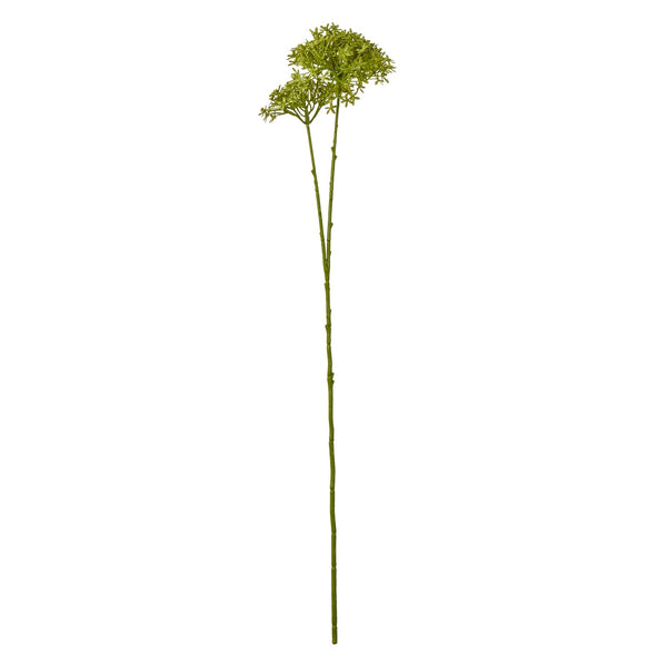 Green Crown Hydrangea Stem - Canwell Interiors Limited - Hills
