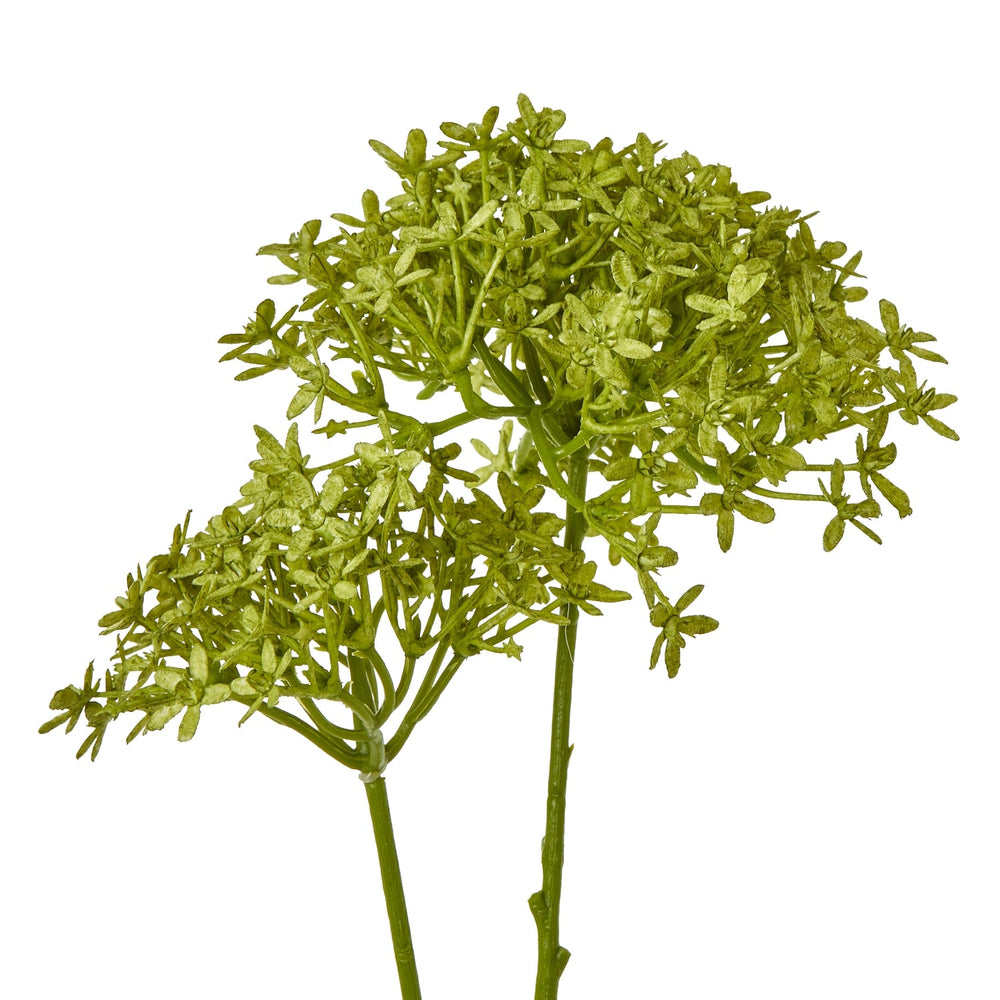Green Crown Hydrangea Stem - Canwell Interiors Limited - Hills
