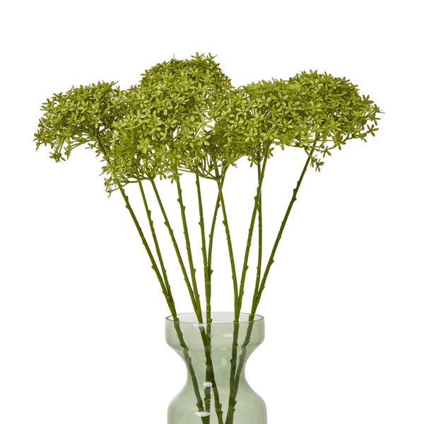 Green Crown Hydrangea Stem - Canwell Interiors Limited - Hills