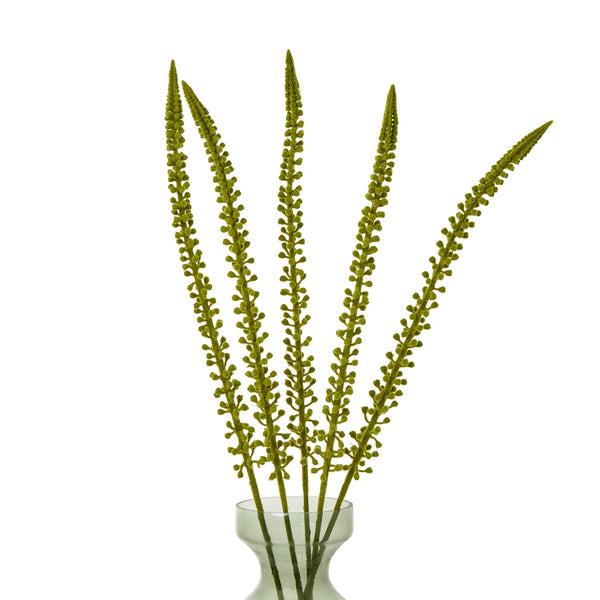 Green Eremurus Stem - Canwell Interiors Limited - Hills