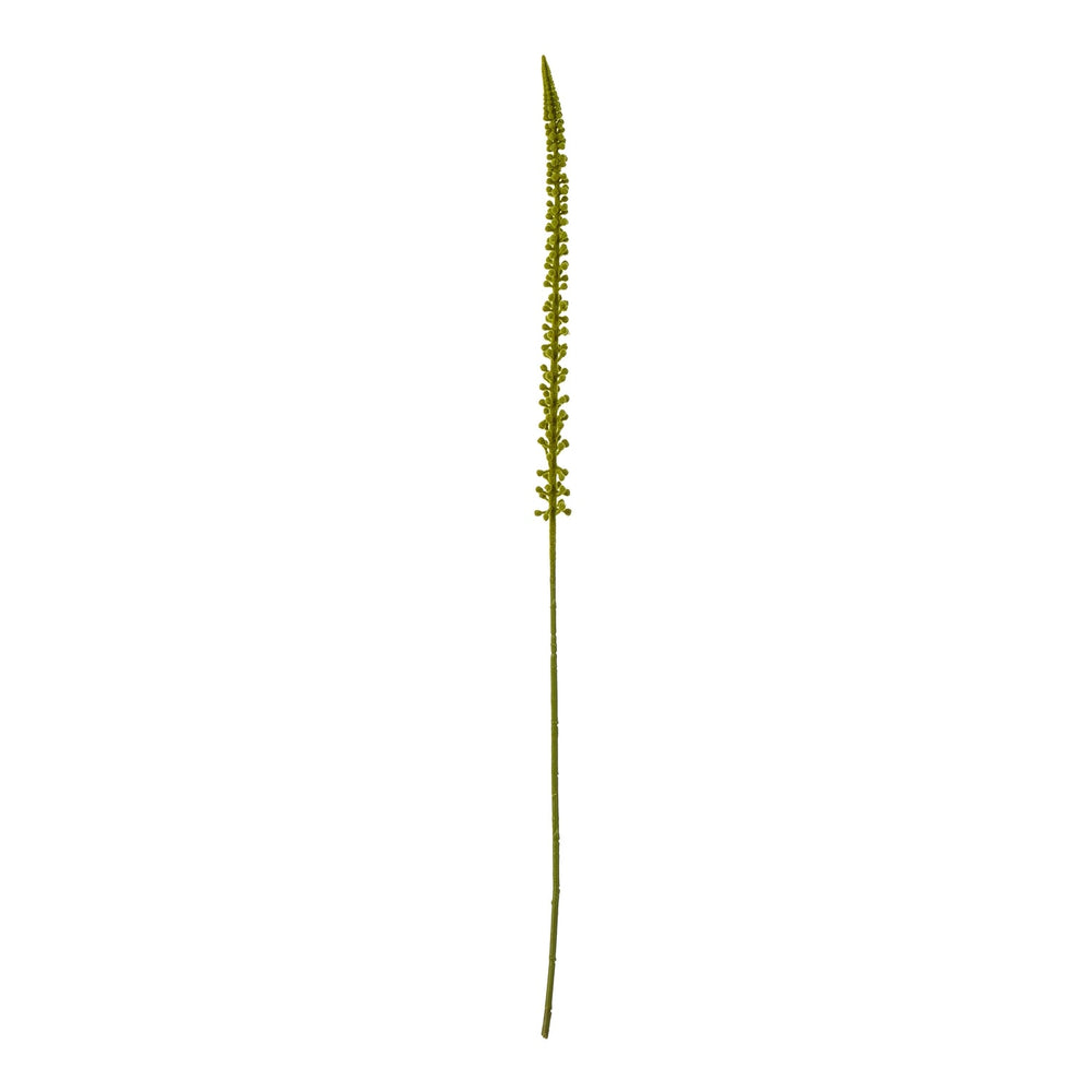 Green Eremurus Stem - Canwell Interiors Limited - Hills
