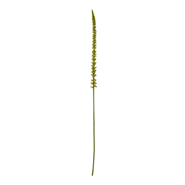 Green Eremurus Stem - Canwell Interiors Limited - Hills