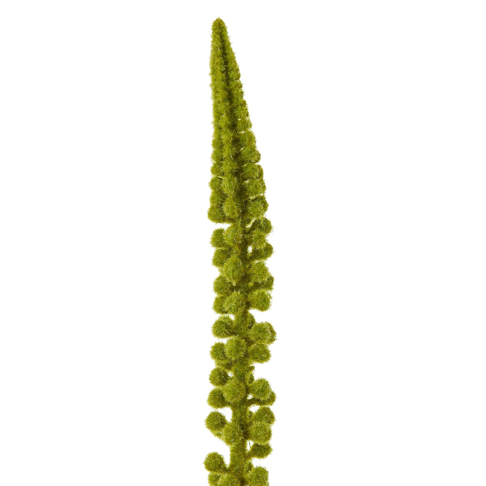 Green Eremurus Stem - Canwell Interiors Limited - Hills