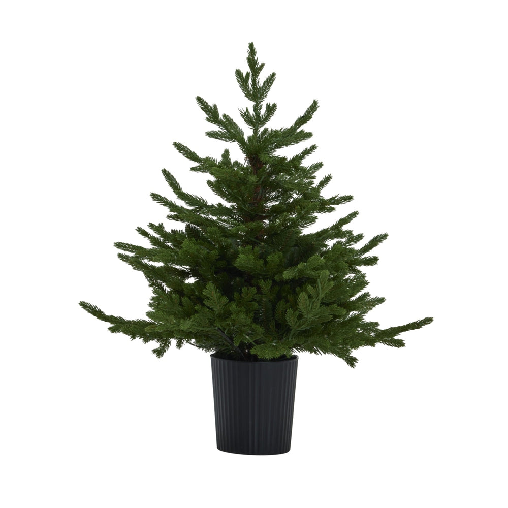 Green Forest Fir Pre - Lit LED 300L Christmas Tree in Pot - XShowhome Limited - Hills