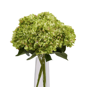 Green Hydrangea Bunch - Canwell Interiors Limited - Hills