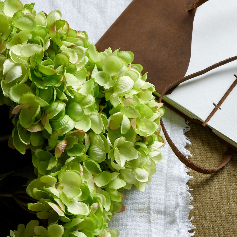 Green Hydrangea Bunch - Canwell Interiors Limited - Hills