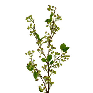 Green Mossberry Large Branch - Canwell Interiors Limited - Hills
